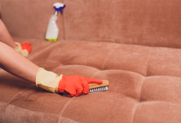 On-site manual cleaning of suede-textured fabric sofas: removing stains and indentation marks